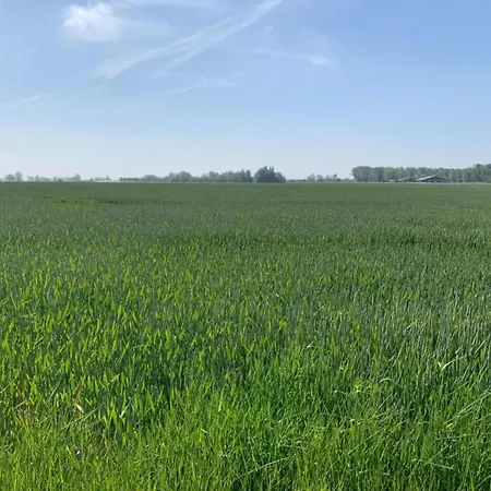 In Near The Sea * Nieuwpoort