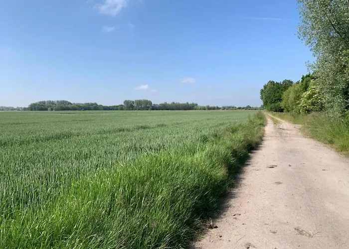 Apartment In Near The Sea Nieuwpoort