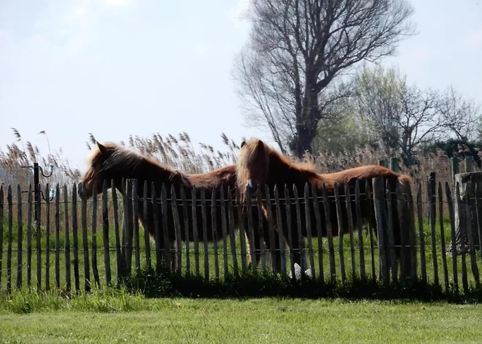 In Near The Sea Apartment *