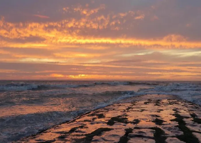 In Near The Sea Apartment