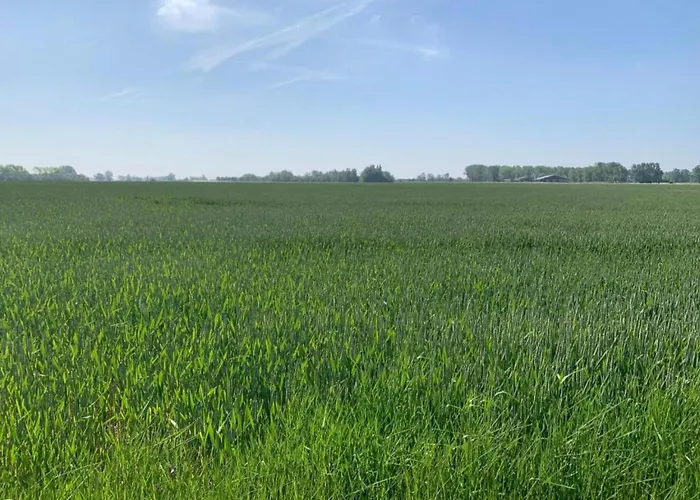 In Near The Sea * Nieuwpoort