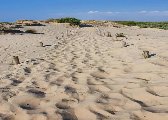 In Near The Sea Apartment *